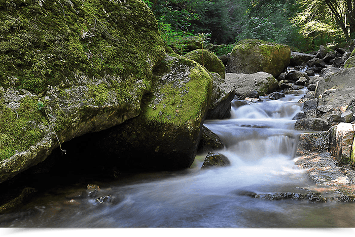 Donausteig Aschach Pesenbachtal