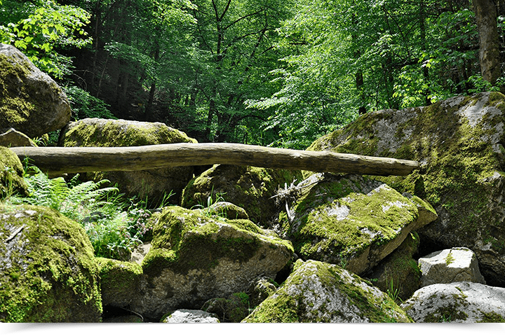 Donausteig Pesenbachtal wandern