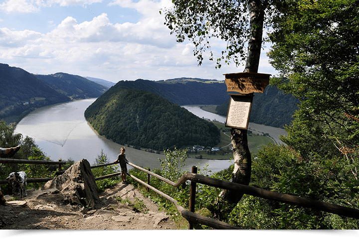 Donausteig Aschach Schlögen