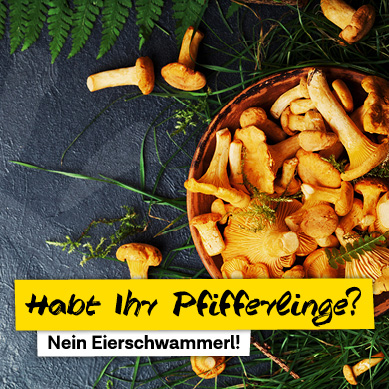 News Gastro Programm Eierschwammerl Pfifferlinge