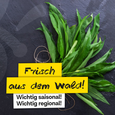 News Gastroprogramm Bärlauch 2023