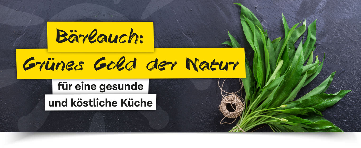 Bärlauch Grünes Gold der Natur