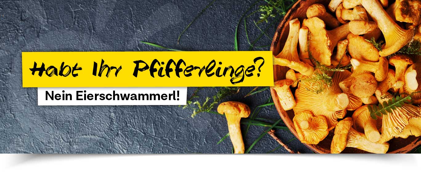 Eierschwammerl aus der Region